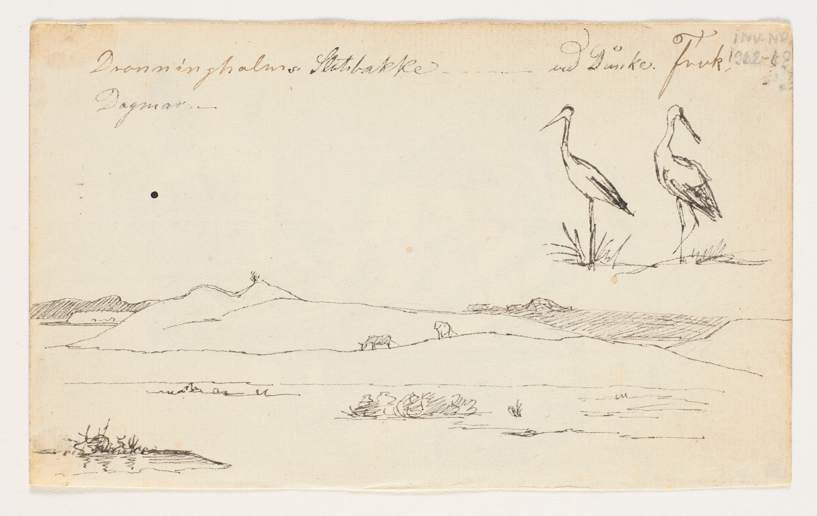 Landskab ved Arresø og studie af to storke